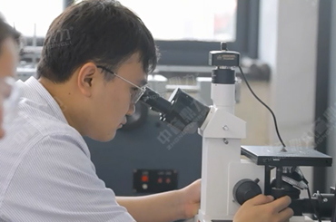 ���u�����ﻯ�����